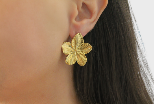PENDIENTES HAWAII